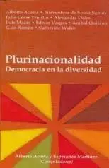 Plurinacionalidad: Democracia en la Diversidad