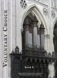 Voluntary Choice V-6