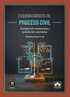 ESQUEMAS BÁSICOS DEL PROCESO CIVIL (JURISDICCIÓN CONTENCIOSA Y JURISDICCIÓN VOLU