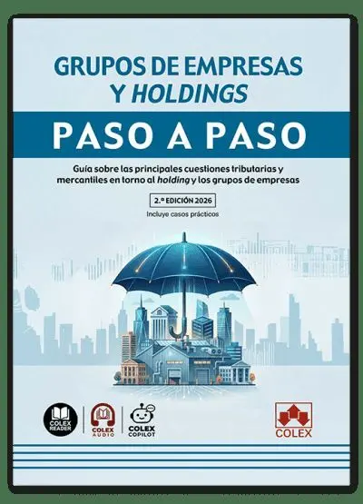 Grupos de Empresas y Holdings. Paso a Paso