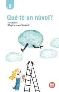 Què té un Núvol?