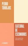 CATEDRAL DE ESCOMBROS