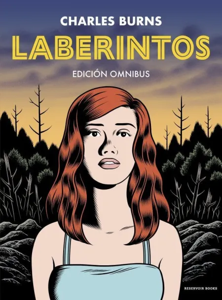 Laberintos(Integral)