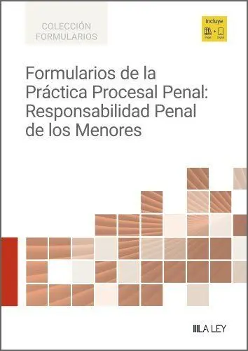 Formularios de la Practica Procesal Penal:responsabilidad