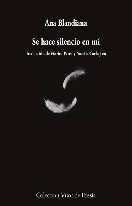 Se Hace Silencio en mí