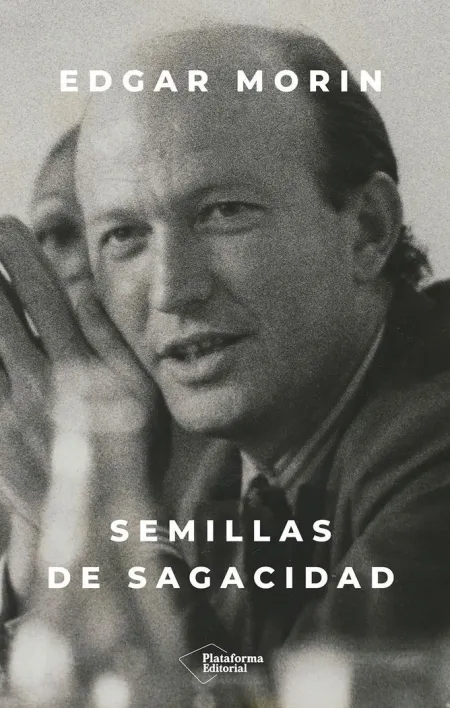Semillas de Sagacidad
