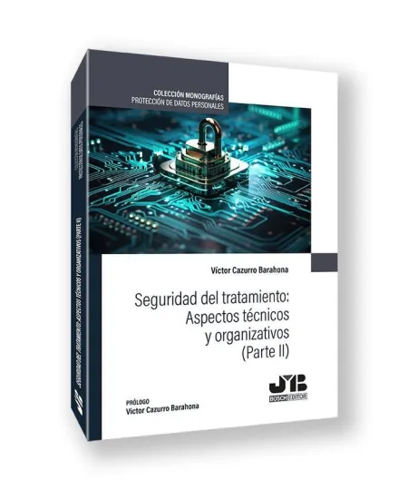 Seguridad del Tratamiento: Aspectos Técnicos y Organizativos (Parte Ii)