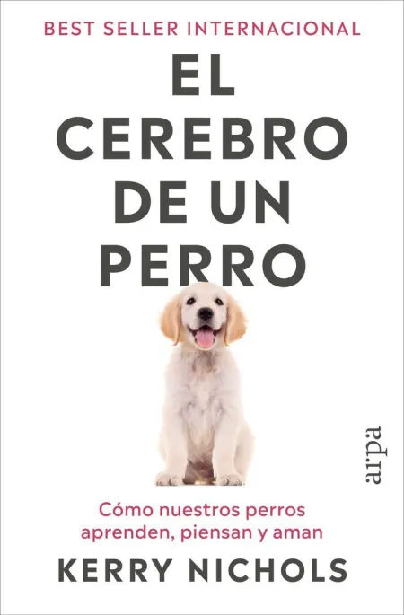 Cerebro de un Perro, el