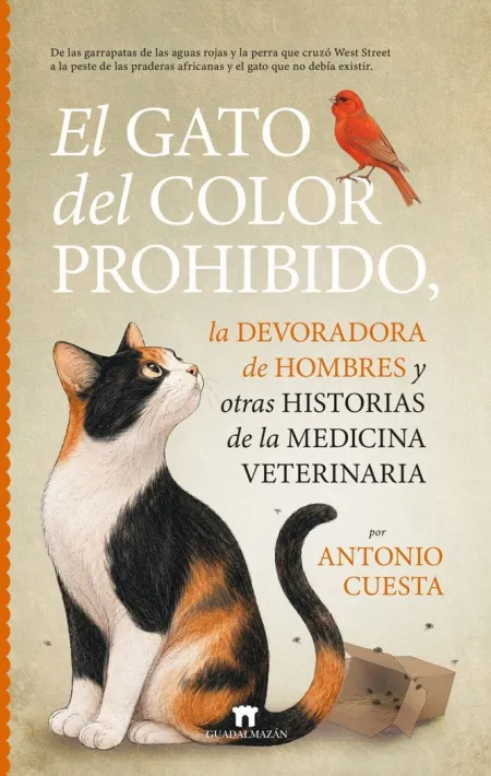 Gato del Color Prohibido, el