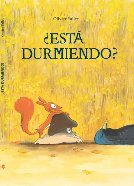 Esta Durmiendo