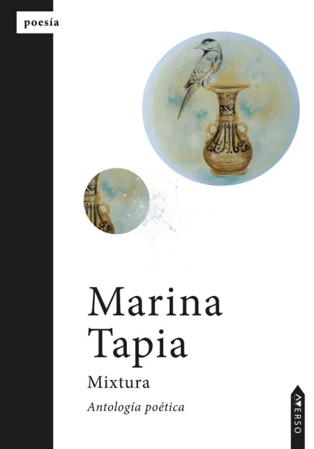 Mixtura