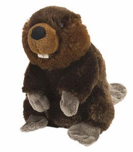 PELUCHE CK - MINI CASTOR 20 CM