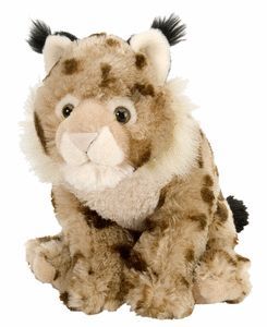 PELUCHE CK LINCE 12
