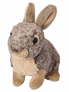 PELUCHE CK - MINI CONEJO 20 CM