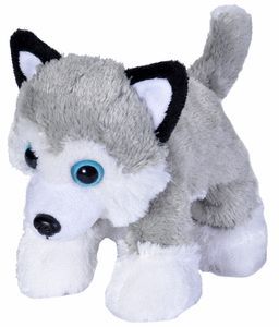 PELUCHE HUG´EMS HUSKY SIBERIANO 7