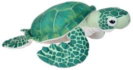 PELUCHE TORGUGA VERDE LIVI