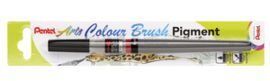 PINCEL RECARGABLE COLOR BRUSH CON TINTA PIGMENTADA