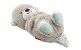 FISHER-PRICE NUTRIA HORA DE DORMIR