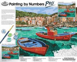 TABLILLA ENTELADA PINTAR POR NUMEROS PRO. CREPUSCU