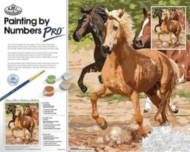 TABLILLA ENTELADA PINTAR POR NUMEROS PRO. CABALLOS