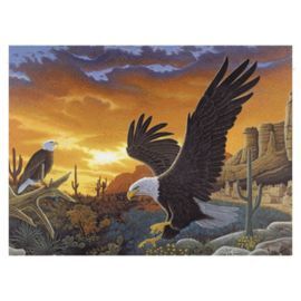 PINTAR POR NUMEROS 13 PIEZAS. AGUILAS