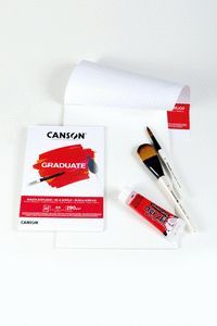 BLOC ENC A5 20H 290 GR CANSON GRADUATE OLEO   ACRI