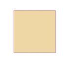 CARTULINA GUARRO 50X65 COLOR CARNE