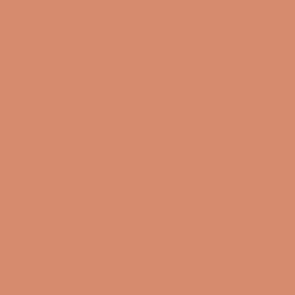 CARTULINA GUARRO A4 185 GRS CORAL