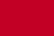 CARTULINA GUARRO 50X65 ROJO