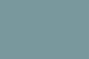 CARTULINA GUARRO 50X65 GRIS PLOMO