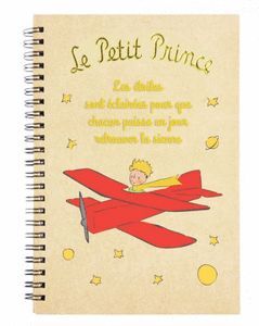 CUADERNO ANILLAS A5 EL PRINCIPITO AVION RELIEVE Y