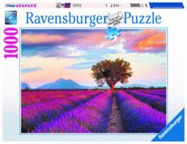 PUZZLE 1000 PZ CAMPOS DE LAVANDA