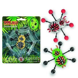 EXPOSITOR 12 ARAÑA TREPADORA VENTANA ZOO