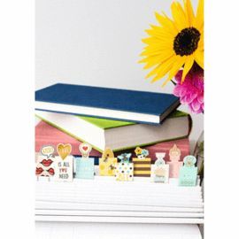 MARCAPAGINAS MAGNETICOS ABEJAS 6 UNIDADES