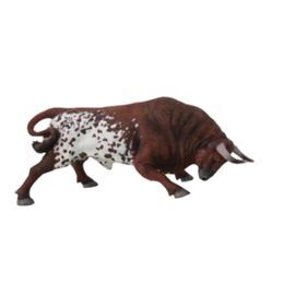 TORO BRAVO SALINERO EMBISTIENDO