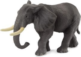 ELEFANTE AFRICANO