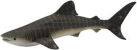 TIBURON BALLENA