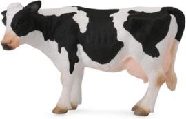 VACA FRIESIAN (BLANCA Y NEGRA)