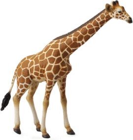 JIRAFA