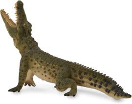 COCODRILO DEL NILO CON MANDIBULA MOVIBLE