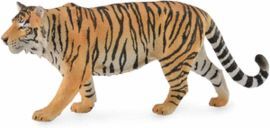 TIGRE SIBERIANO