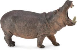 HIPOPOTAMO