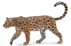LEOPARDO AFRICANO
