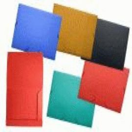 CARPETA GOMAS Y SOLAPA A4 PP OPACA COLORES SURTIDO