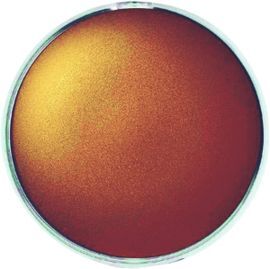 MAQUILLAJE GIOTTO MAKE UP 5 ML MARRON BLISTER 1UD