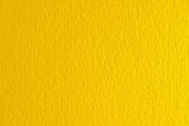 CARTULINA SADIPAL LISO/RUGOSO 50X70 AMARILLO