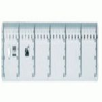REGLA CRISTAL SAFTA 30CM