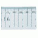 REGLA CRISTAL SAFTA 40CM