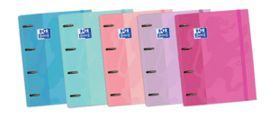 EXPOSITOR 10 CARPEBLOCS OXFORD A4 4A RECAMBIO 100H
