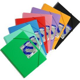 CARPETA 20 FUNDAS A4 MAXIPLAS ROJO OPACO